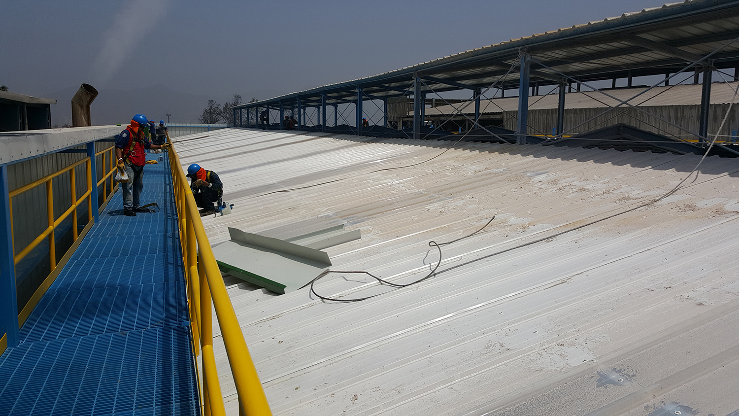 CMPC Protisa, Cambio de Techo MP4